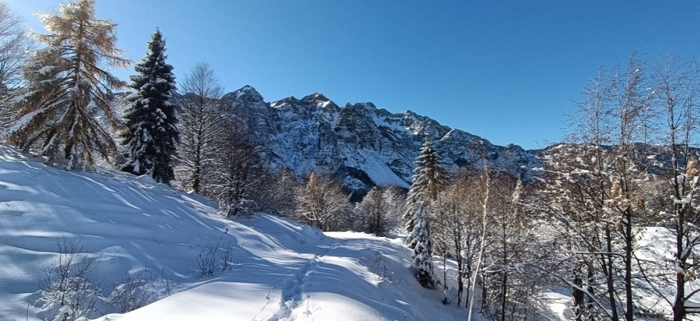 Si avvicina il Trail della Lepre Bianca ma in Vallarsa tante le opportunità per scoprire il territorio